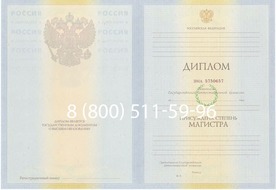 Диплом магистра 2010-2011 годов