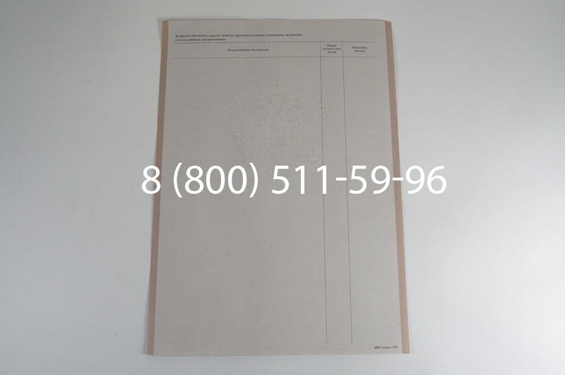Заказать Академическая справка 1996-2009 года в Омске
