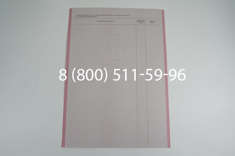 Заказать Академическая справка образца 1996-2009 год для колледжа в Омске