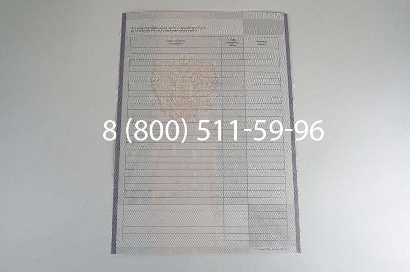 Заказать Академическая справка образца 2010-2011 год для колледжа в Омске