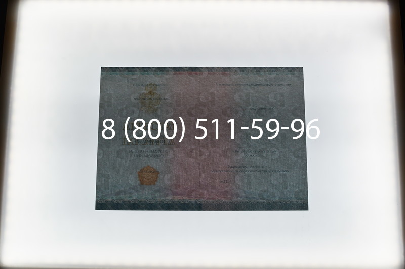 Купить Аттестат вечерней школы в Омске