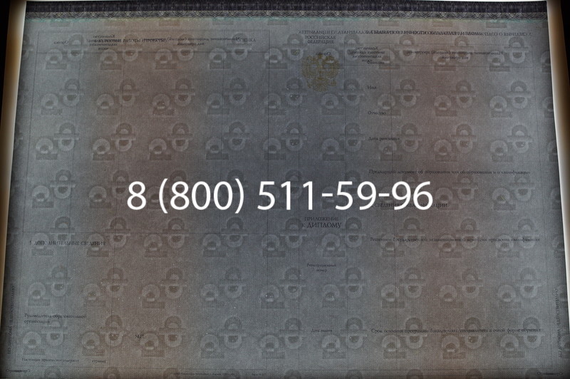 Заказать Диплом бакалавра (Киржач) 2014-2026 года в Омске