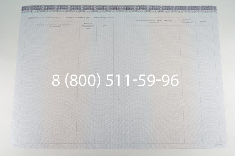 Диплом бакалавра (Киржач) 2014-2026 года в Омске