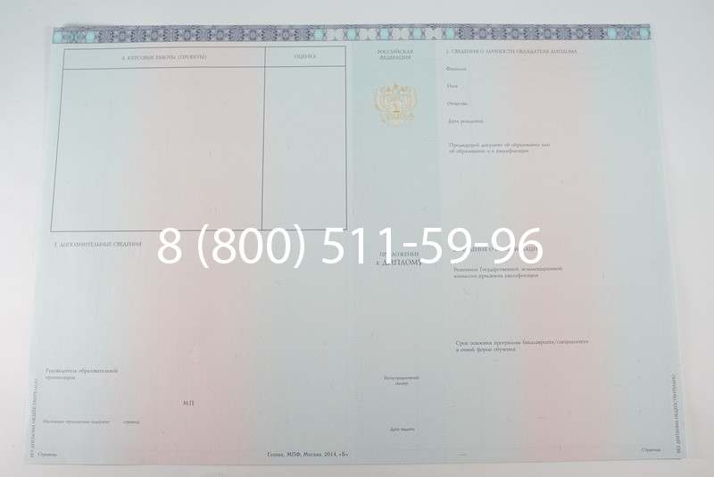 Диплом бакалавра 2014-2026 года в Омске