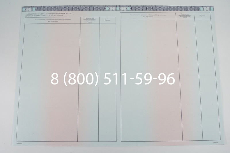 Диплом бакалавра 2014-2026 года в Омске