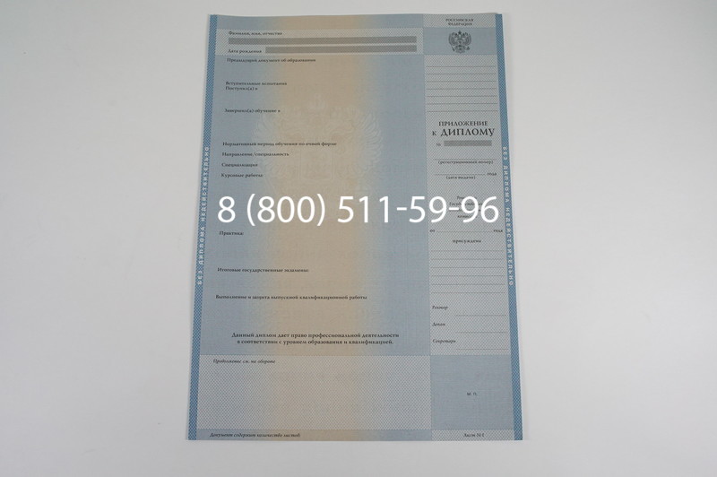 Заказать Диплом бакалавра 1997-2002 годов в Омске