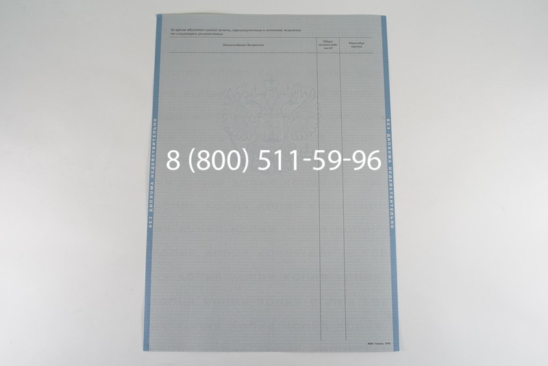 Диплом бакалавра 2003-2009 годов в Омске