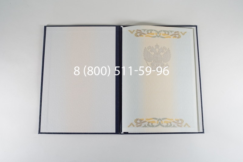 Диплом бакалавра 2003-2009 годов в Омске