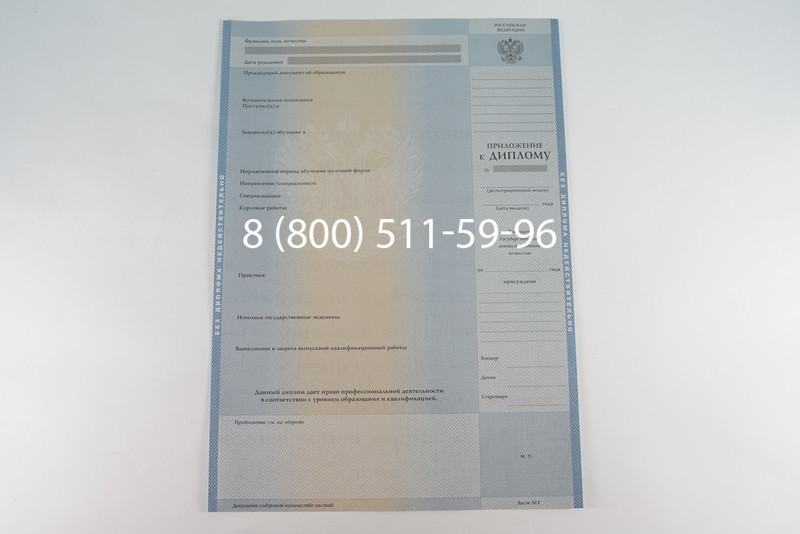 Диплом бакалавра 2003-2009 годов в Омске