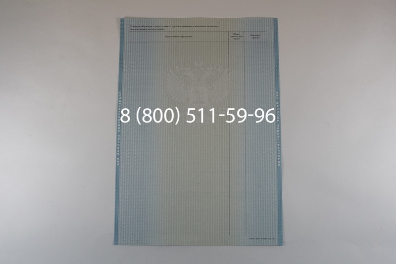 Диплом бакалавра 2012-2013 годов в Омске