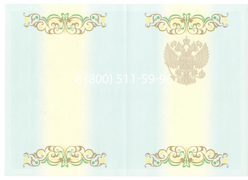 Купить Диплом бакалавра 2012-2013 годов в Омске