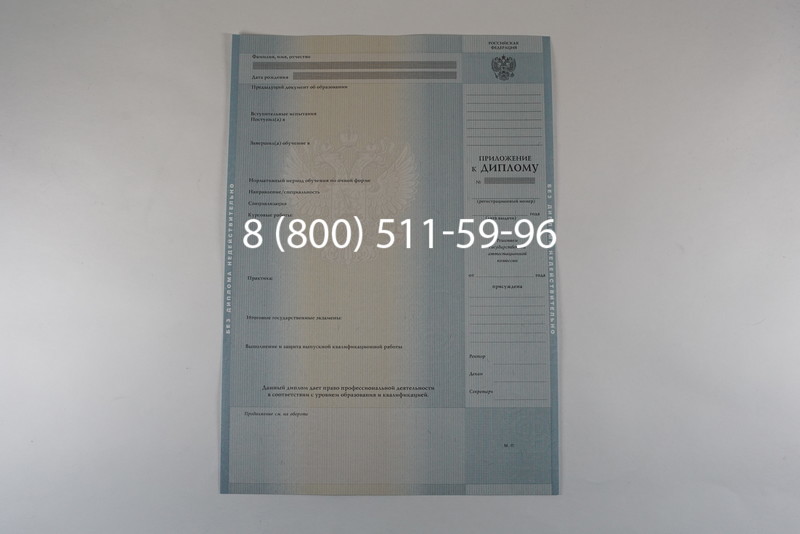Диплом бакалавра 2012-2013 годов в Омске