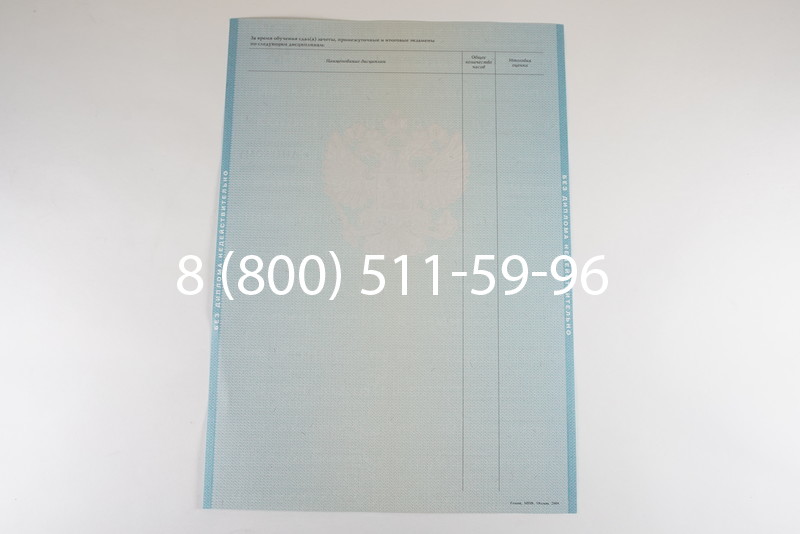 Диплом бакалавра 2010-2011 годов в Омске