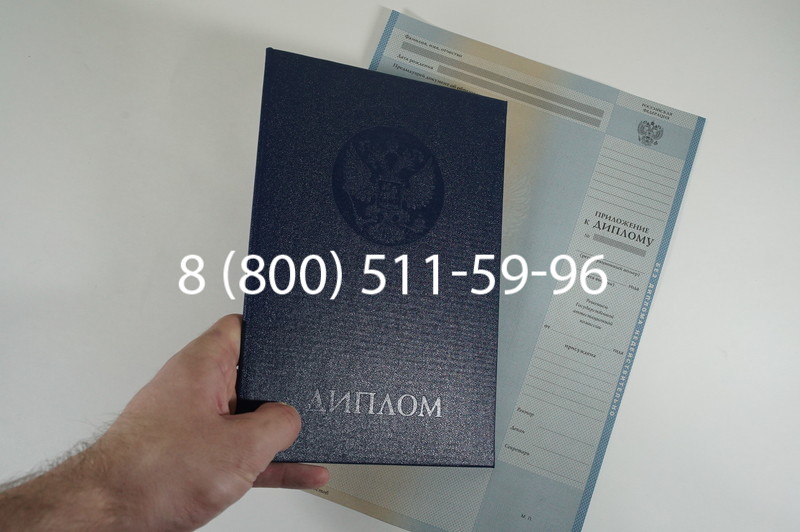 Диплом бакалавра 2010-2011 годов в Омске