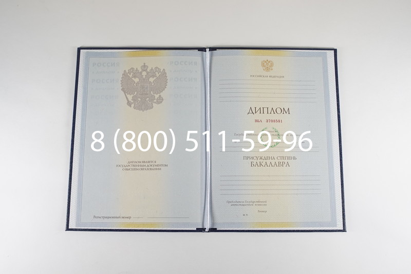Диплом бакалавра 2010-2011 годов в Омске