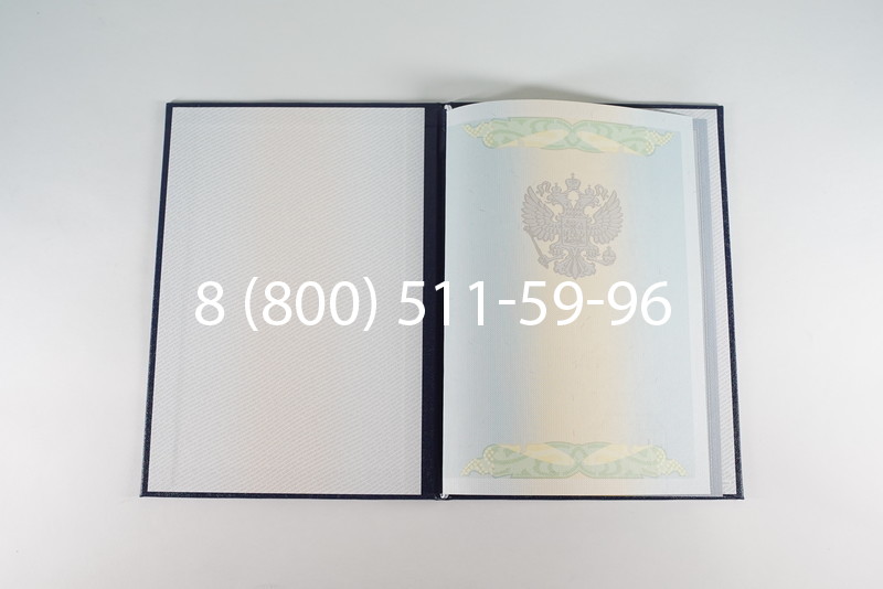 Диплом бакалавра 2010-2011 годов в Омске