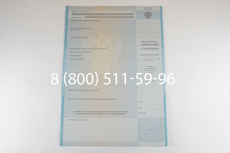 Диплом бакалавра 2010-2011 годов в Омске