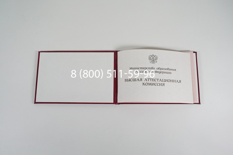 Диплом доктора наук 1995-2006 года в Омске