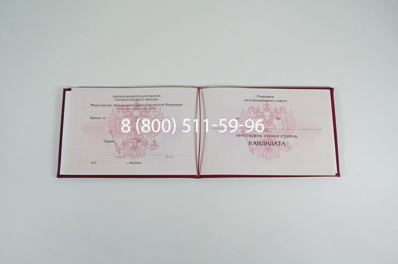 Заказать Диплом кандидата наук 2010 в Омске