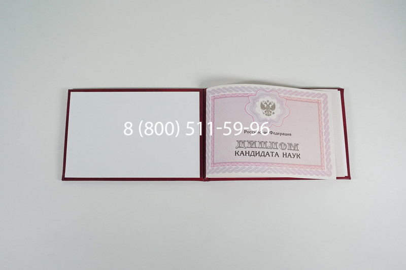 Заказать Диплом кандидата наук 2010 в Омске
