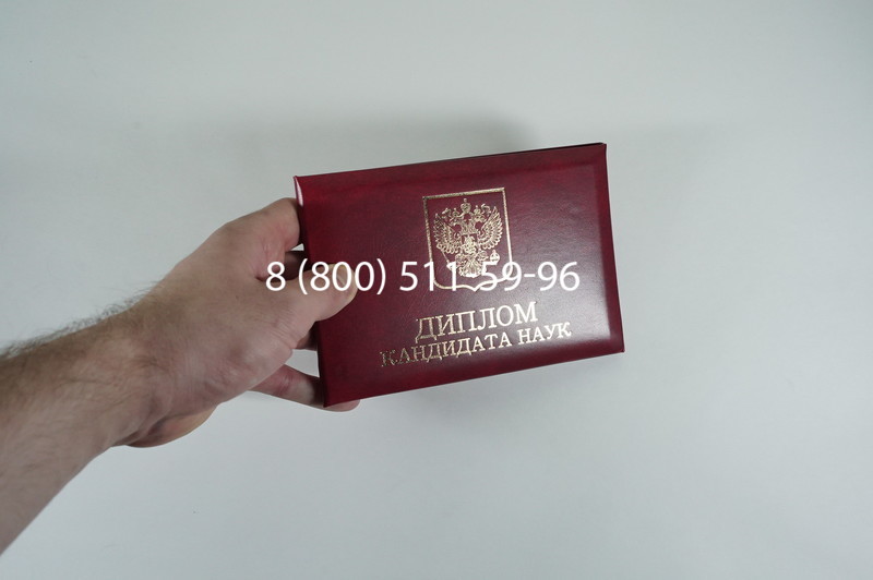 Диплом кандидата наук 2010 в Омске