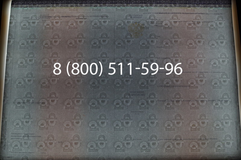 Заказать Диплом магистра (КИРЖАЧ) 2014-2026годов в Омске