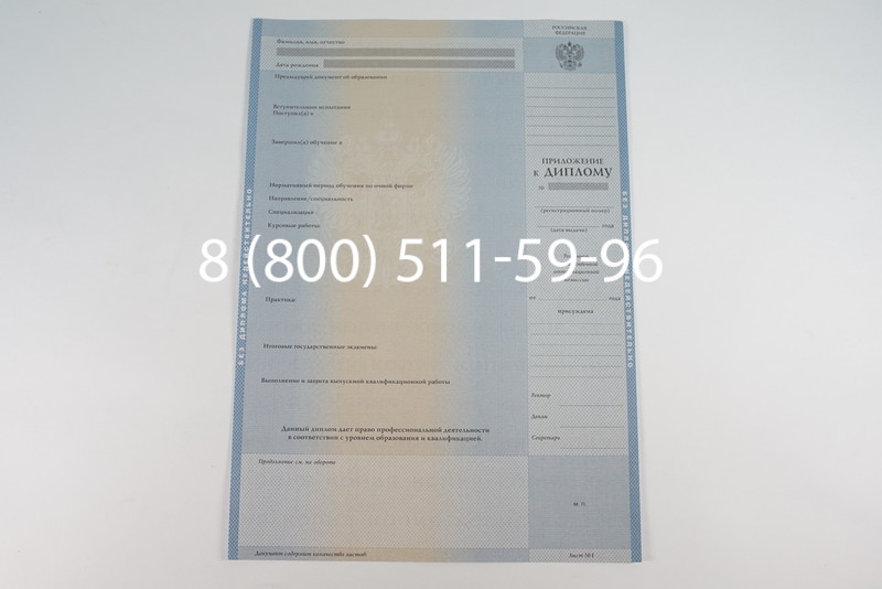 Диплом магистра 1997-2002 годов в Омске