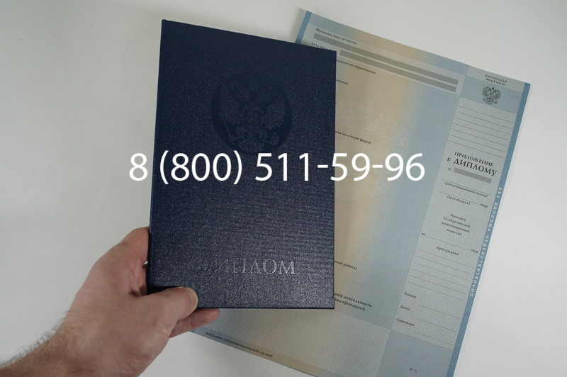 Диплом магистра 2003-2009 годов в Омске