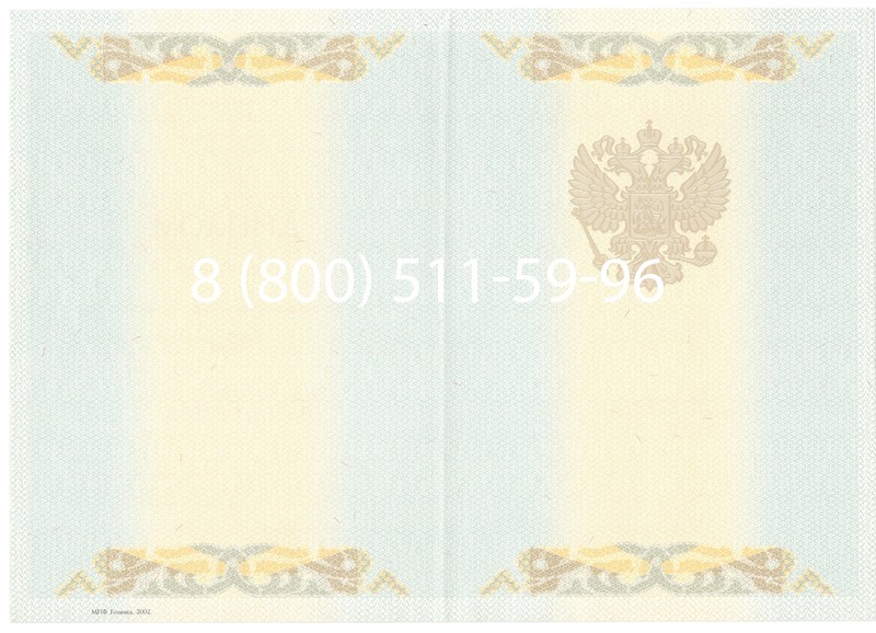 Купить Диплом магистра 2003-2009 годов в Омске