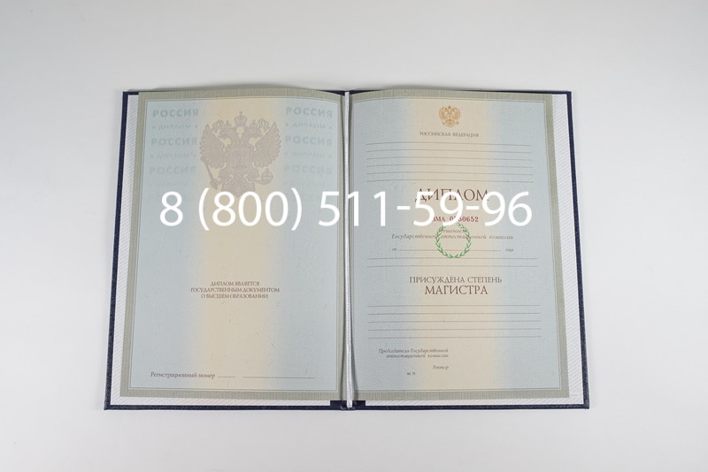 Диплом магистра 2003-2009 годов в Омске