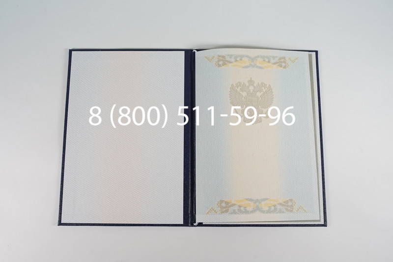 Диплом магистра 2003-2009 годов в Омске