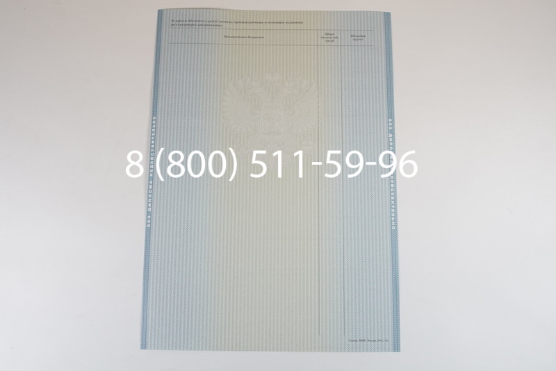 Диплом магистра 2012-2013 годов в Омске