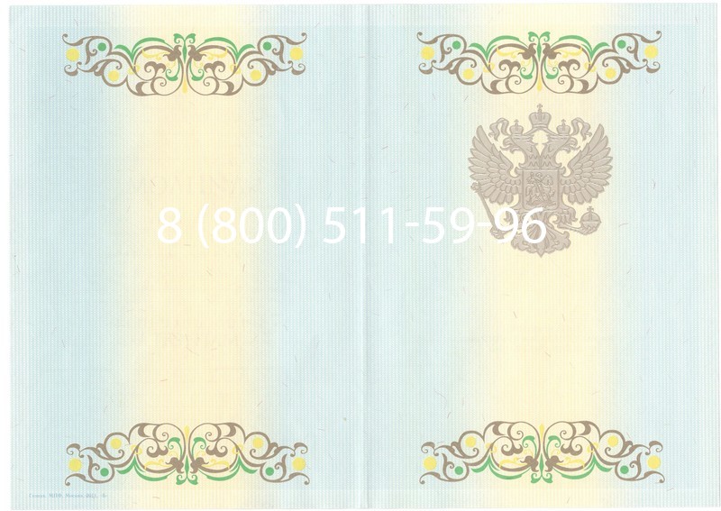 Заказать Диплом магистра 2012-2013 годов в Омске