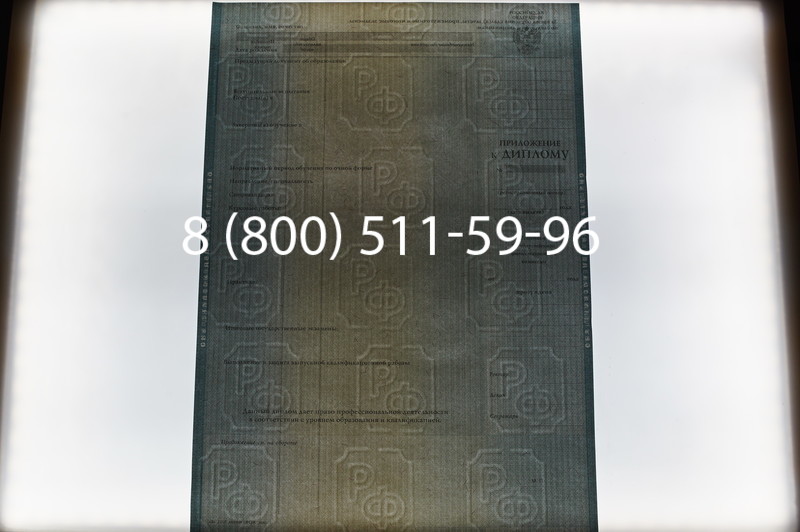 Заказать Диплом магистра 2012-2013 годов в Омске