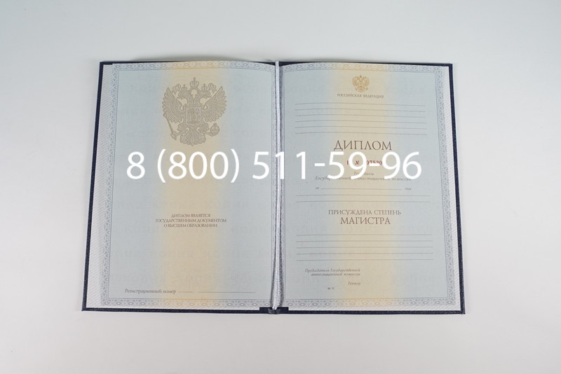 Диплом магистра 2012-2013 годов в Омске