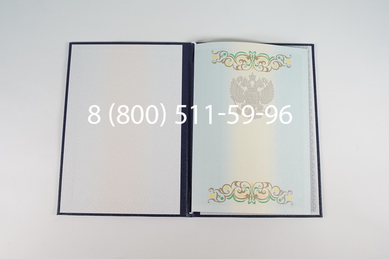 Диплом магистра 2012-2013 годов в Омске