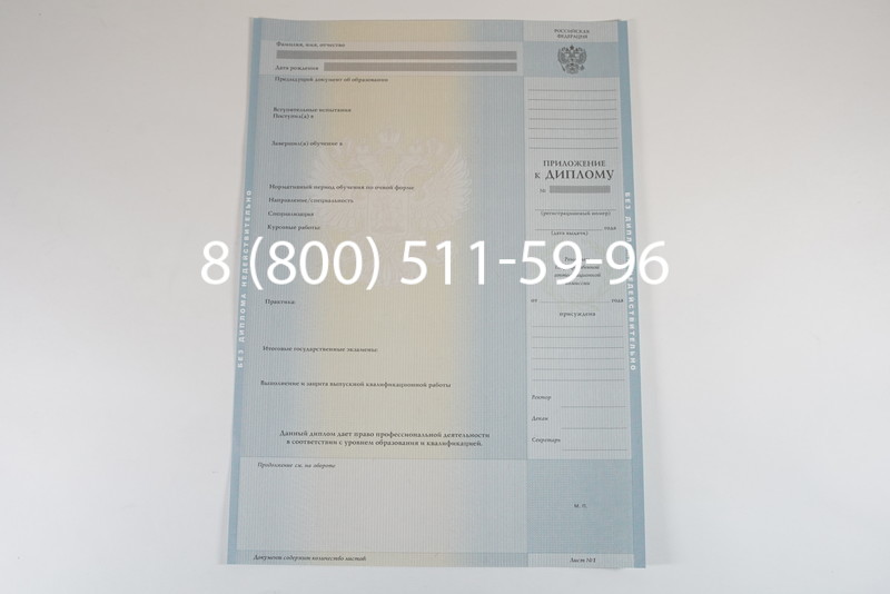 Диплом магистра 2012-2013 годов в Омске