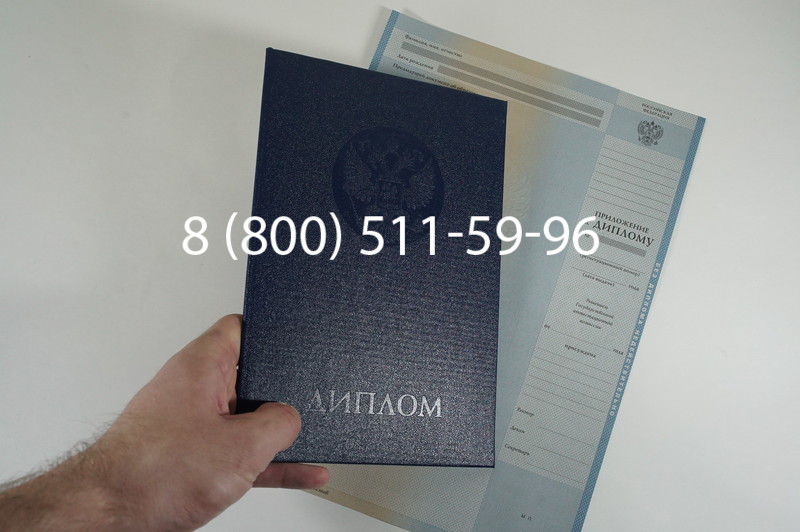 Диплом магистра 2010-2011 годов в Омске