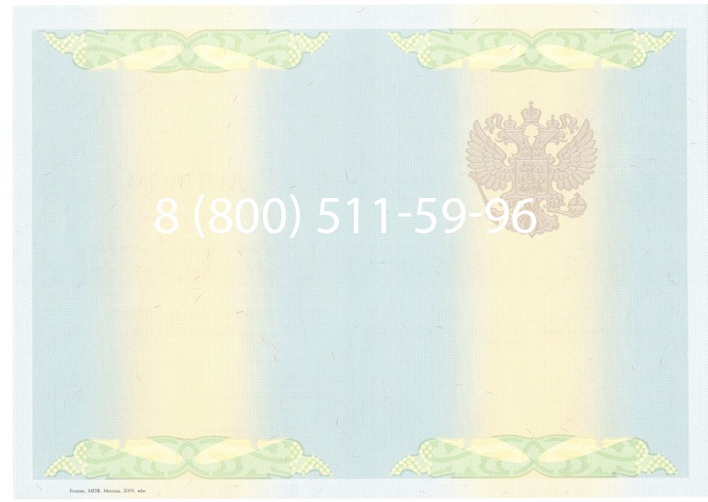 Купить Диплом магистра 2010-2011 годов в Омске