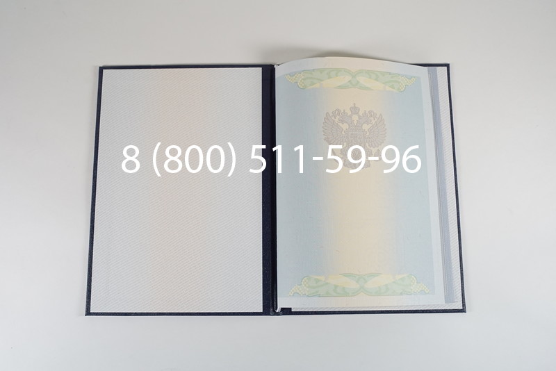 Диплом магистра 2010-2011 годов в Омске