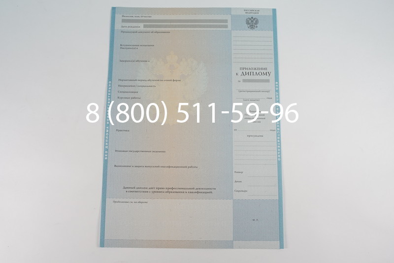 Диплом магистра 2010-2011 годов в Омске