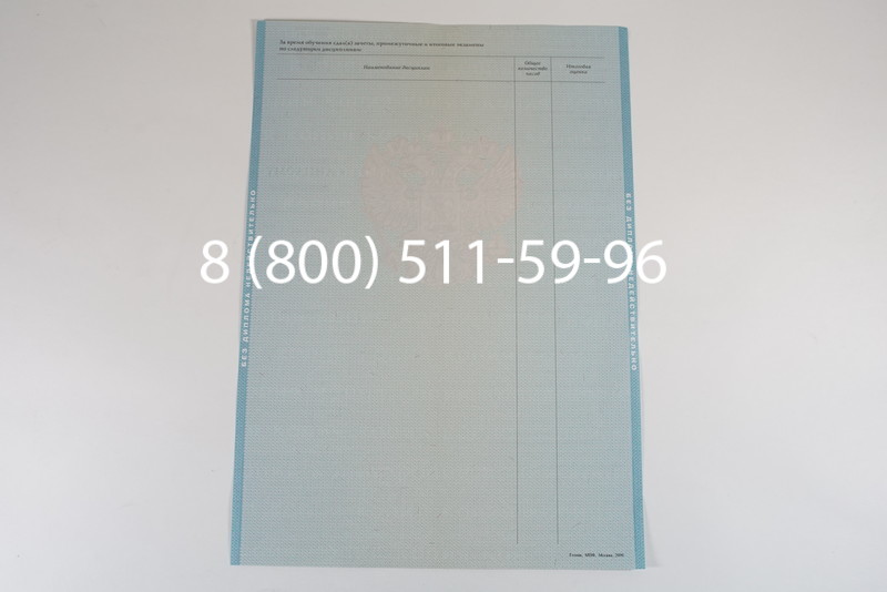 Диплом магистра 2010-2011 годов в Омске