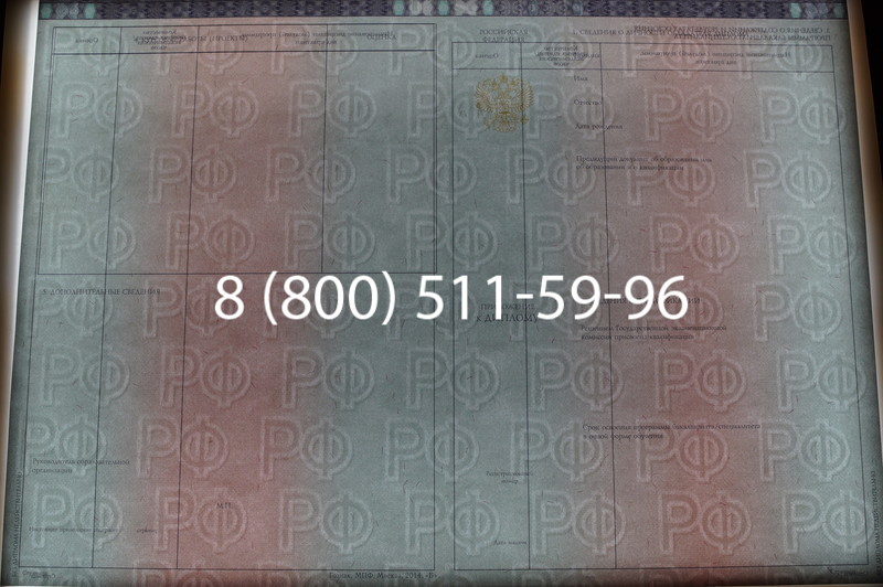 Заказать Диплом о высшем образовании 2014-2026 годов в Омске