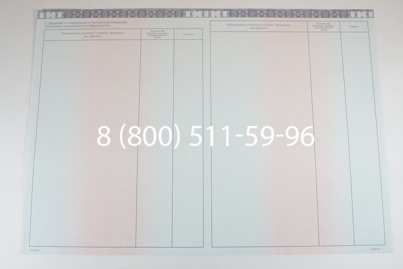 Диплом о высшем образовании 2014-2026 годов в Омске