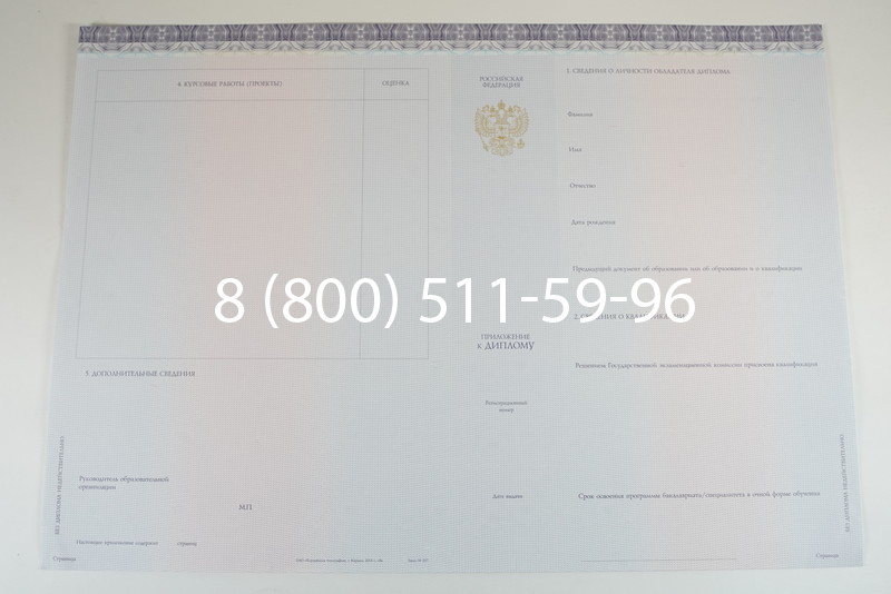 Диплом о высшем образовании (Киржач) 2014-2026 годов в Омске