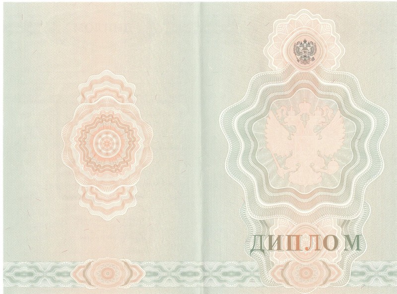 Купить Диплом о начальном образовании  2007-2009 годов в Омске