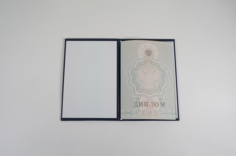 Диплом о начальном образовании  2007-2009 годов в Омске