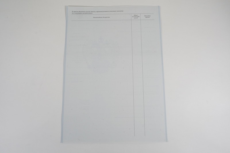 Диплом о начальном образовании  2007-2009 годов в Омске