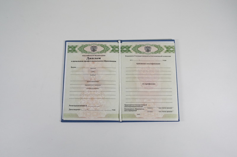 Диплом о начальном образовании  2010-2026 годов в Омске