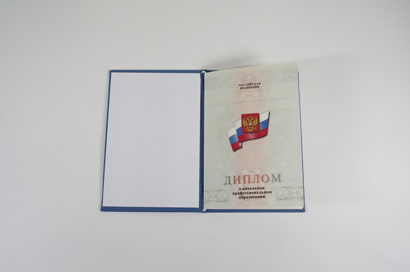 Диплом о начальном образовании  2010-2026 годов в Омске